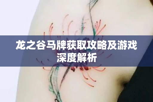 龙之谷马牌获取攻略及游戏深度解析图片