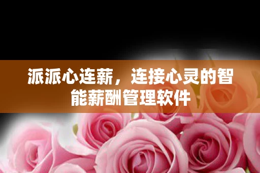 连接心灵的智能薪酬管理软件图片