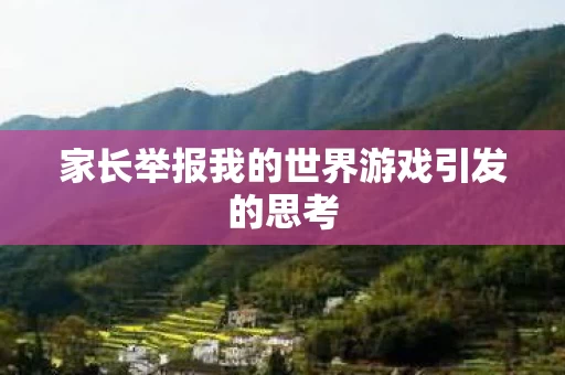 家长举报我的世界游戏引发的思考图片