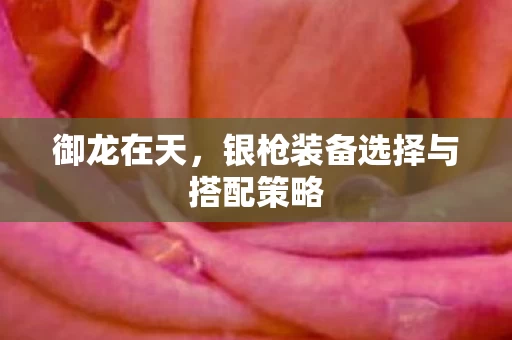 银枪装备选择与搭配策略图片