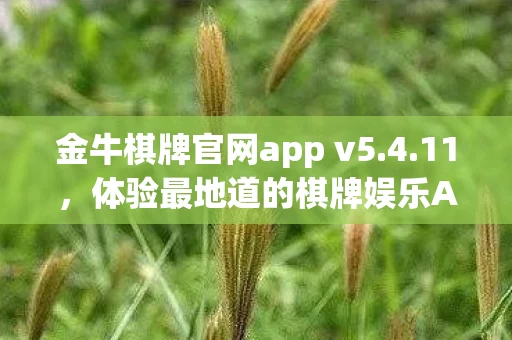 体验最地道的棋牌娱乐APP下载图片