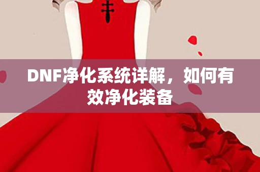 DNF净化系统详解图片