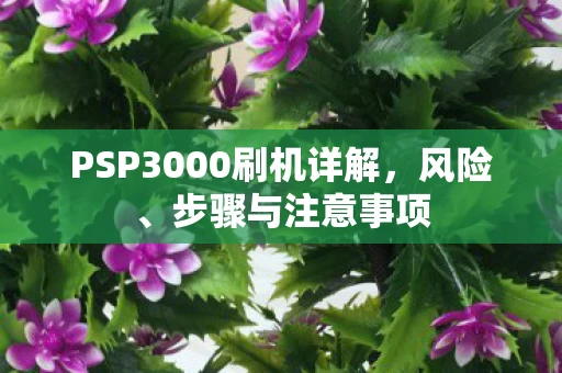 PSP3000刷机详解图片