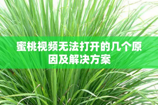 蜜桃视频无法打开的几个原因及解决方案图片