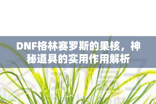 DNF格林赛罗斯的果核图片