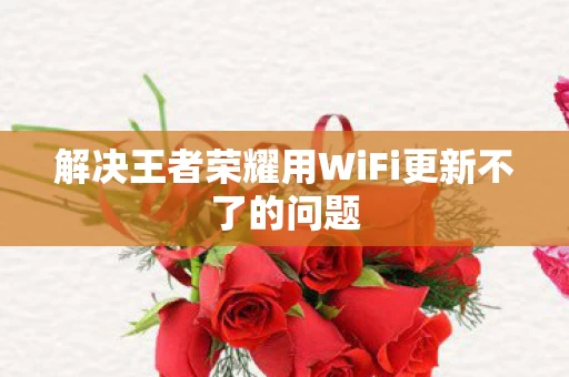 解决王者荣耀用WiFi更新不了的问题图片