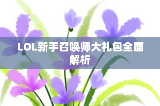 LOL新手召唤师大礼包全面解析图片