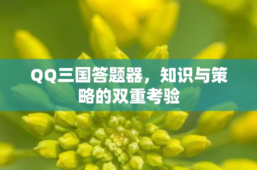 知识与策略的双重考验图片