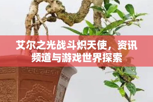 资讯频道与游戏世界探索图片