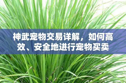 安全地进行宠物买卖图片