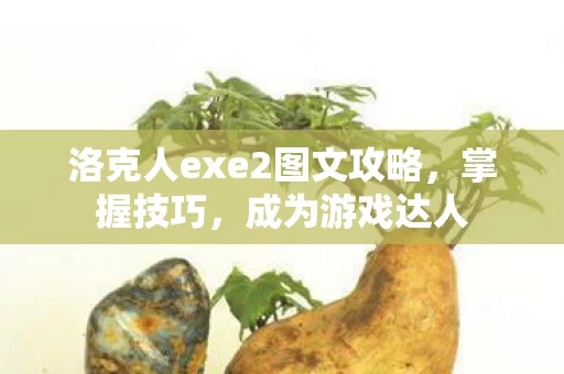 洛克人exe2图文攻略图片
