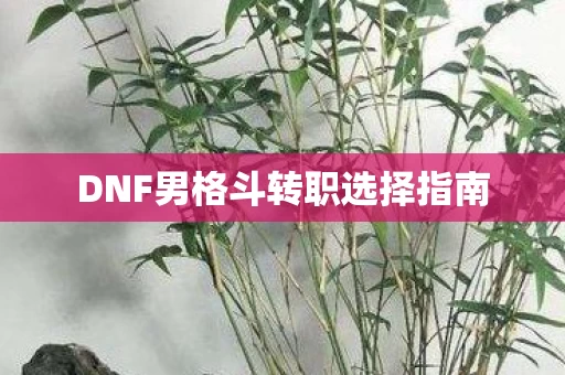 DNF男格斗转职选择指南图片