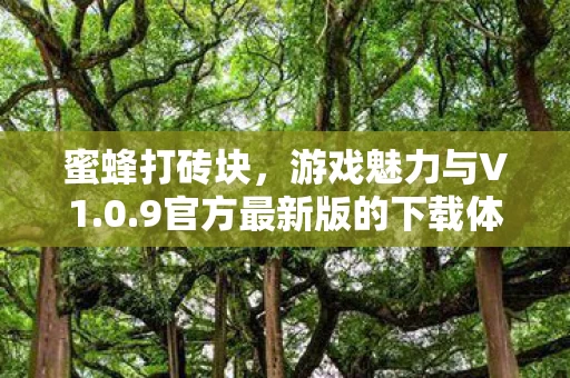 9官方最新版的下载体验图片