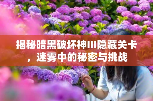 揭秘暗黑破坏神III隐藏关卡图片