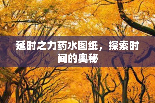 延时之力药水图纸图片