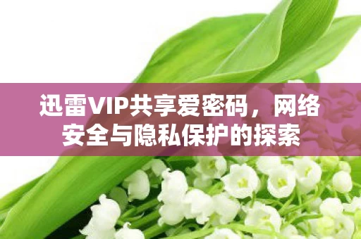 网络安全与隐私保护的探索图片