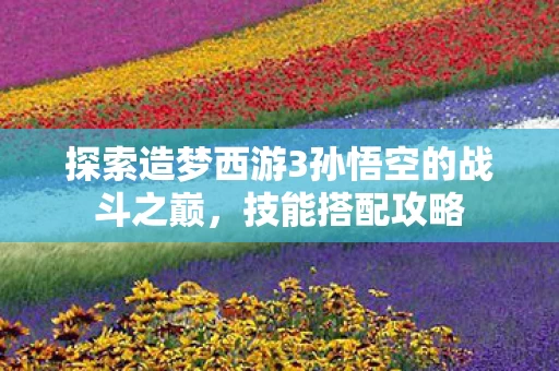 探索造梦西游3孙悟空的战斗之巅图片