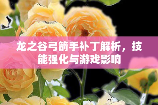 龙之谷弓箭手补丁解析图片