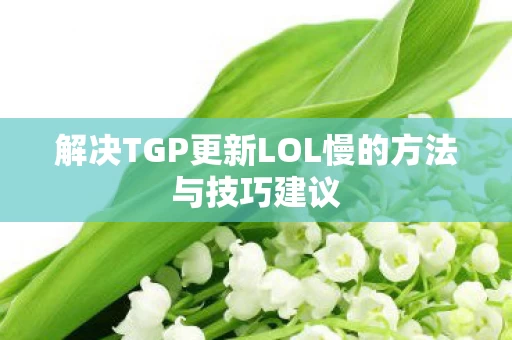 解决TGP更新LOL慢的方法与技巧建议图片