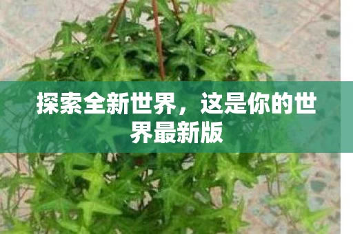 这是你的世界最新版图片