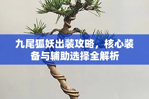核心装备与辅助选择全解析图片