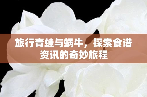 探索食谱资讯的奇妙旅程图片