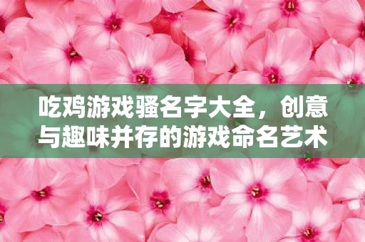 创意与趣味并存的游戏命名艺术图片