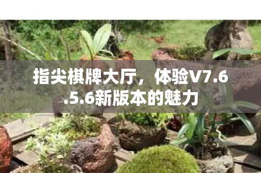 6新版本的魅力图片