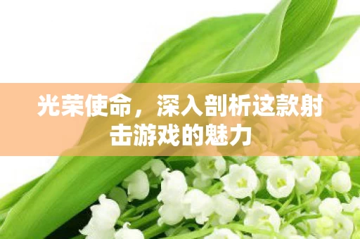 深入剖析这款射击游戏的魅力图片
