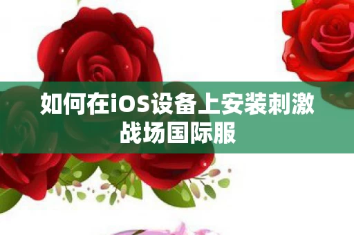 如何在iOS设备上安装刺激战场国际服图片