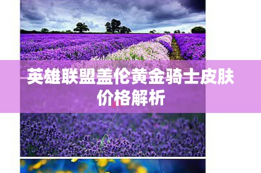 英雄联盟盖伦黄金骑士皮肤价格解析图片