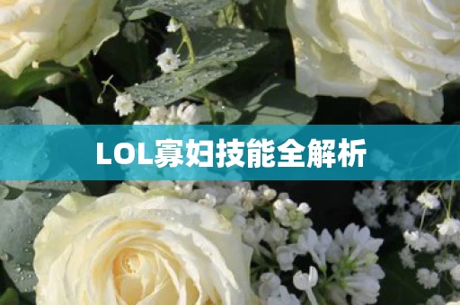 LOL寡妇技能全解析图片