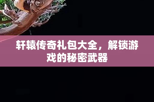 解锁游戏的秘密武器图片