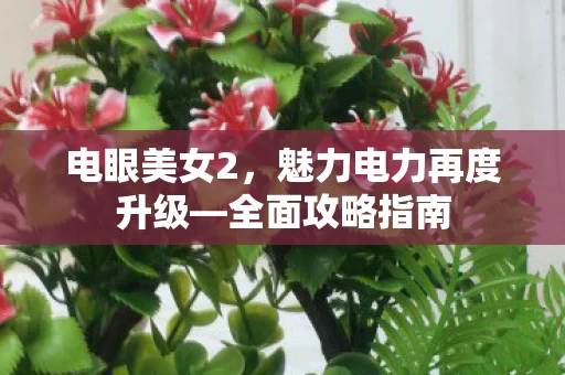 魅力电力再度升级图片
