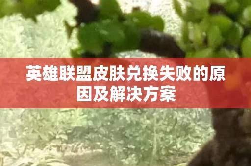 英雄联盟皮肤兑换失败的原因及解决方案图片
