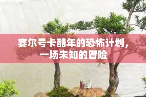 赛尔号卡酷年的恐怖计划图片
