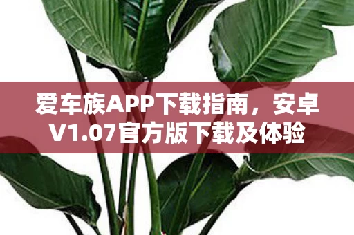 爱车族APP下载指南图片