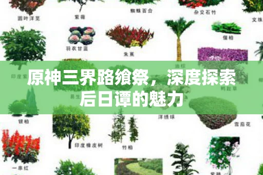 深度探索后日谭的魅力图片