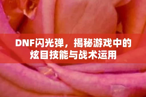 揭秘游戏中的炫目技能与战术运用图片