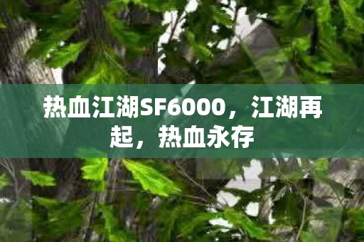 热血江湖SF6000图片