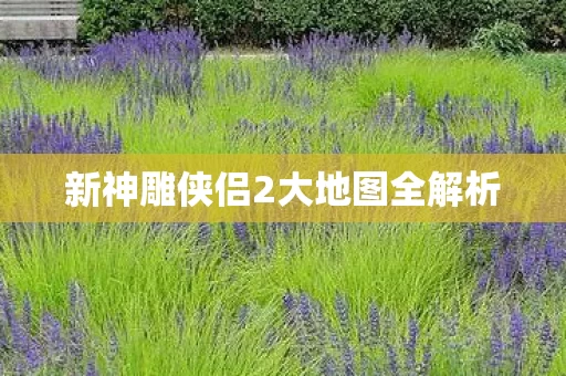 新神雕侠侣2大地图全解析图片