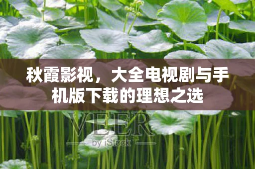 大全电视剧与手机版下载的理想之选图片