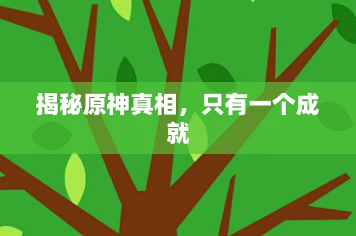 揭秘原神真相图片