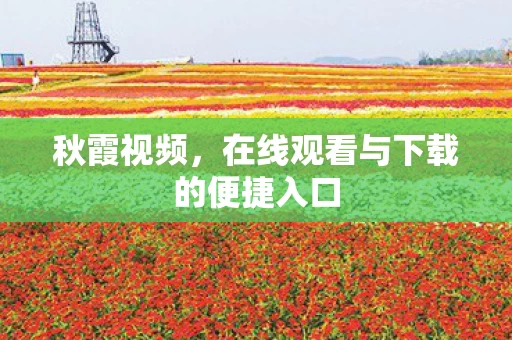 在线观看与下载的便捷入口图片