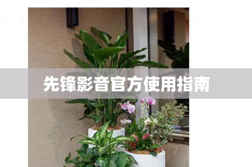 先锋影音官方使用指南图片