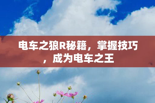 电车之狼R秘籍图片