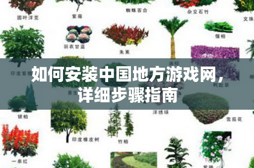 如何安装中国地方游戏网图片
