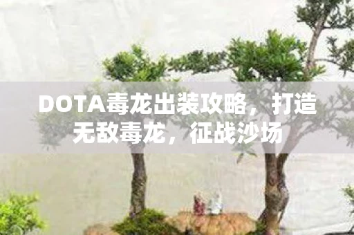 DOTA毒龙出装攻略图片
