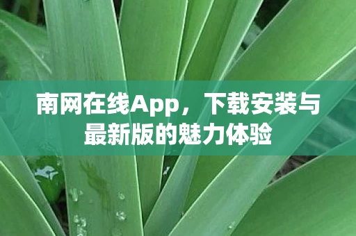 下载安装与最新版的魅力体验图片