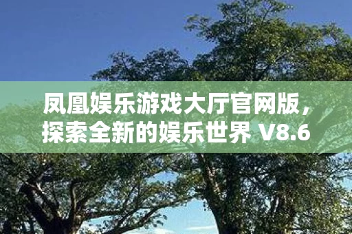 探索全新的娱乐世界 V8图片